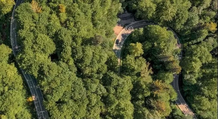 Framed Print : Curvy road through a green forest in spring, captured by a drone with a panoramic top view at springtime Framed Print : Curvy road through a green forest in spring, captured by a drone with a panoramic top view at springtime