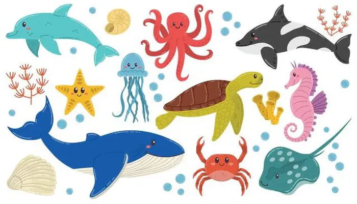 Framed Print : Cute cartoon happy sea animals in flat style Framed Print : Cute cartoon happy sea animals in flat style