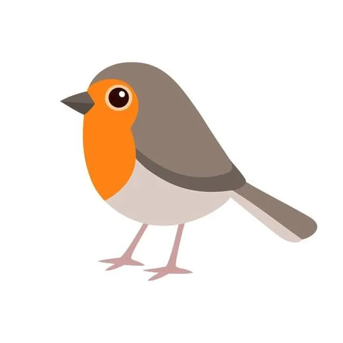 Framed Print : Cute cartoon robin bird drawing. Simple flat drawing of European robin. Isolated vector clip art illustration Framed Print : Cute cartoon robin bird drawing. Simple flat drawing of European robin. Isolated vector clip art illustration