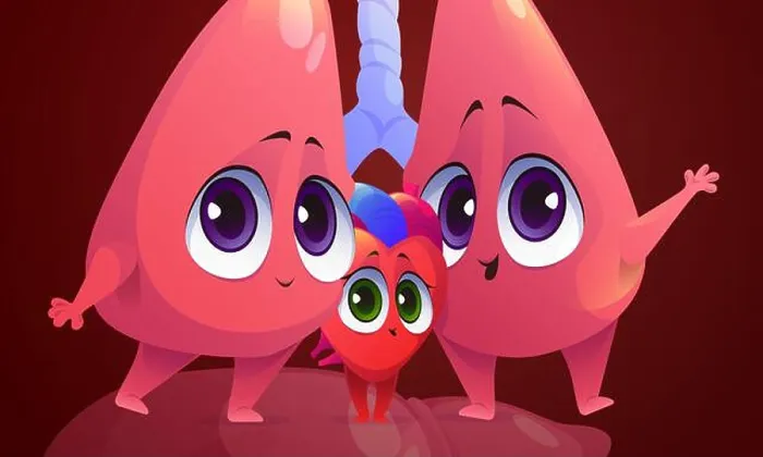 Framed Print : Cute characters of lungs and heart Framed Print : Cute characters of lungs and heart