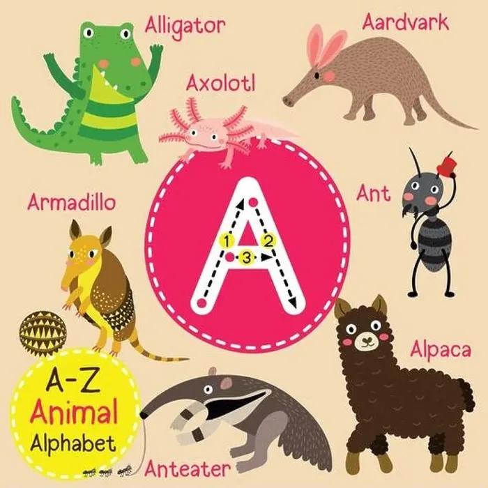 Framed Print : Cute children zoo alphabet A letter tracing of funny animal cartoon for kids learning English vocabulary Framed Print : Cute children zoo alphabet A letter tracing of funny animal cartoon for kids learning English vocabulary