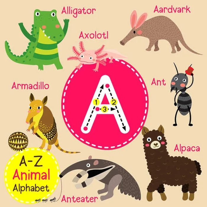 Framed Print : Cute children zoo alphabet A letter tracing of funny animal cartoon for kids learning English vocabulary Framed Print : Cute children zoo alphabet A letter tracing of funny animal cartoon for kids learning English vocabulary