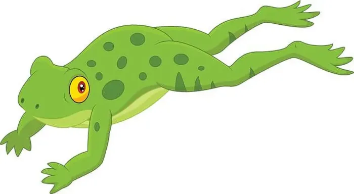 Framed Print : Cute frog jumping Framed Print : Cute frog jumping