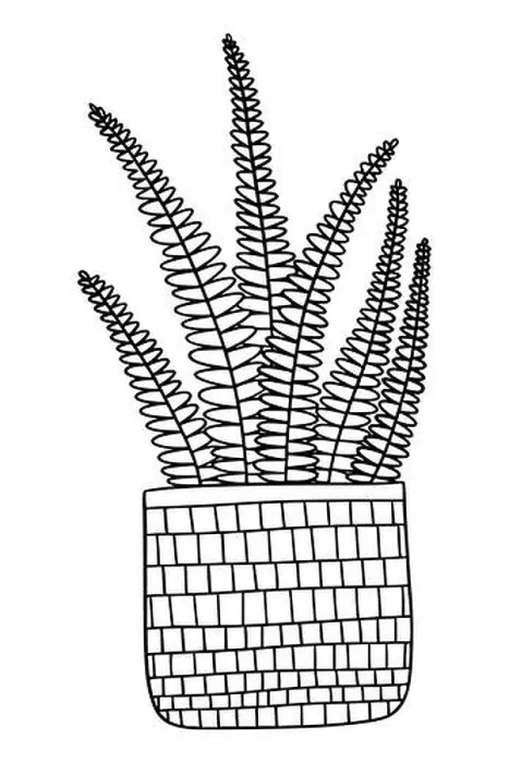 Framed Print : Cute hand drawn fern plant in pot. Vector outline drawing of House plant. coloring page urban garden concept. Tropical plant used in the interior Framed Print : Cute hand drawn fern plant in pot. Vector outline drawing of House plant. coloring page urban garden concept. Tropical plant used in the interior