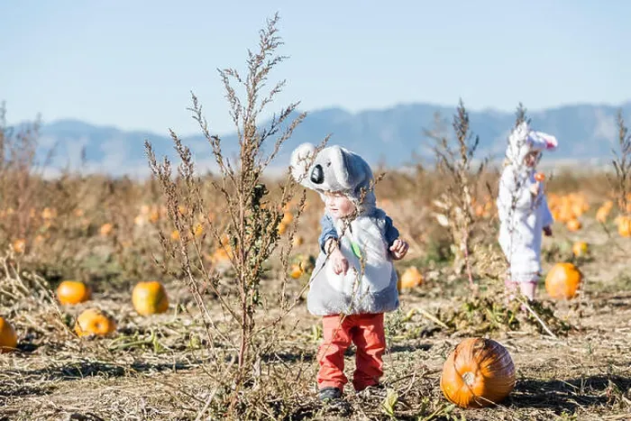 Framed Print : Cute kids in Halloween costumes at the pumpkin patch Framed Print : Cute kids in Halloween costumes at the pumpkin patch