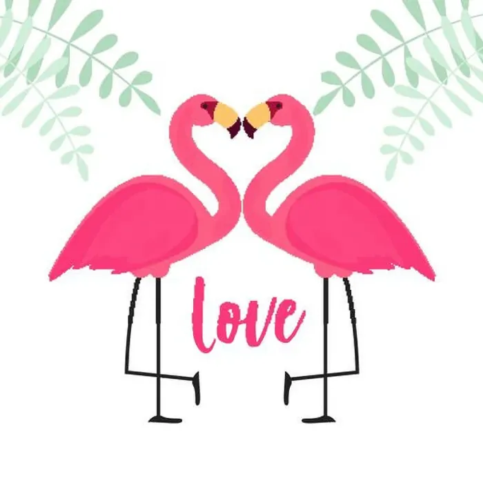 Framed Print : Cute Pink Flamingo in Love Background Vector Illustration Framed Print : Cute Pink Flamingo in Love Background Vector Illustration