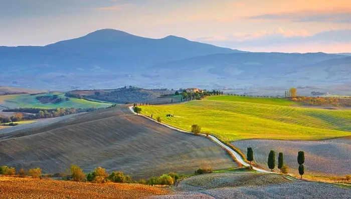 Framed Print : Cypress trees landscape, Val d'Orcia, Tuscany, Italy Framed Print : Cypress trees landscape, Val d'Orcia, Tuscany, Italy