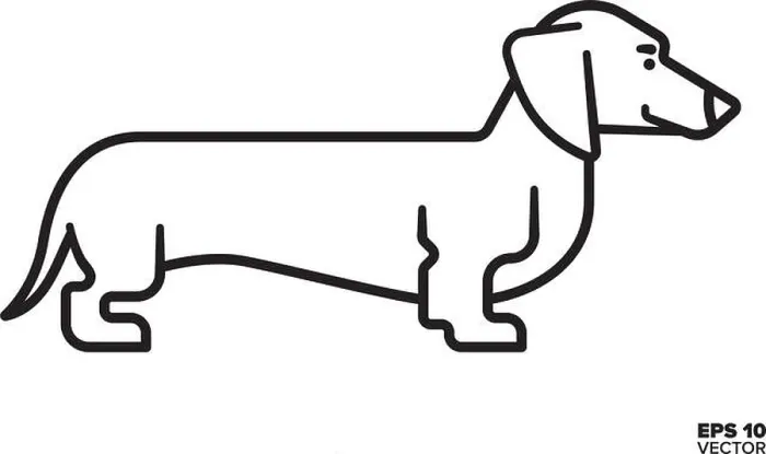 Framed Print : Dachshund vector line icon. Purebred dog outline symbol