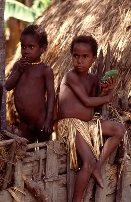 Framed Print : Dani children in their village Bolokme Baliem valley Irian Jaya Indonesia