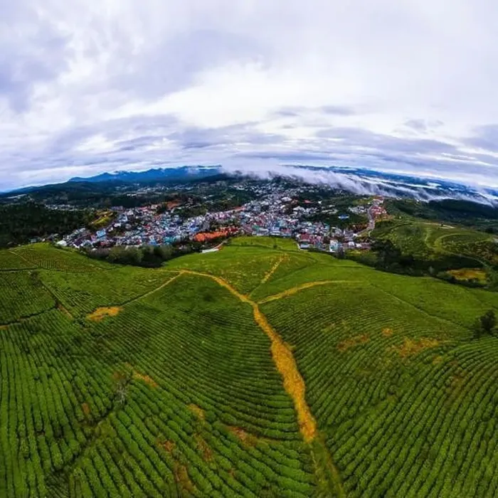 Framed Print : Dawn on tea fields in Da Lat city, Lam Dong province, Vietnam Framed Print : Dawn on tea fields in Da Lat city, Lam Dong province, Vietnam
