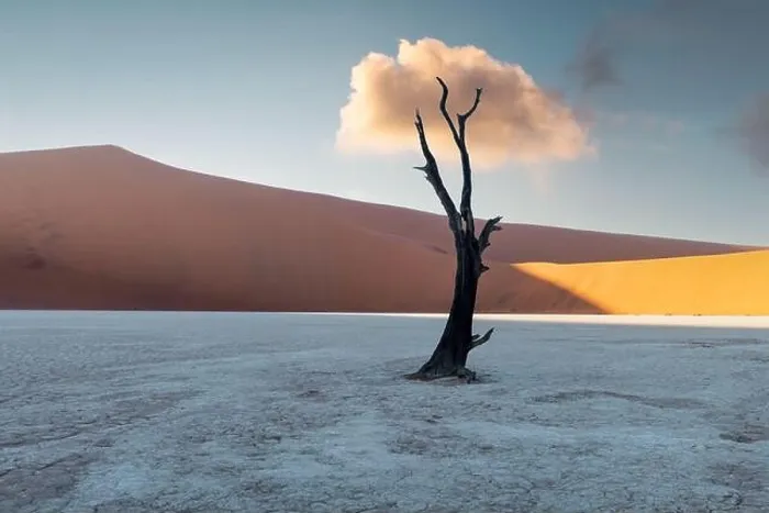 Framed Print : Dead Camelthorn Trees at sunrise, Deadvlei, Namib-Naukluft National Park, Namibia, Africa. Dried trees in Namib desert. Landscape photography Framed Print : Dead Camelthorn Trees at sunrise, Deadvlei, Namib-Naukluft National Park, Namibia, Africa. Dried trees in Namib desert. Landscape photography