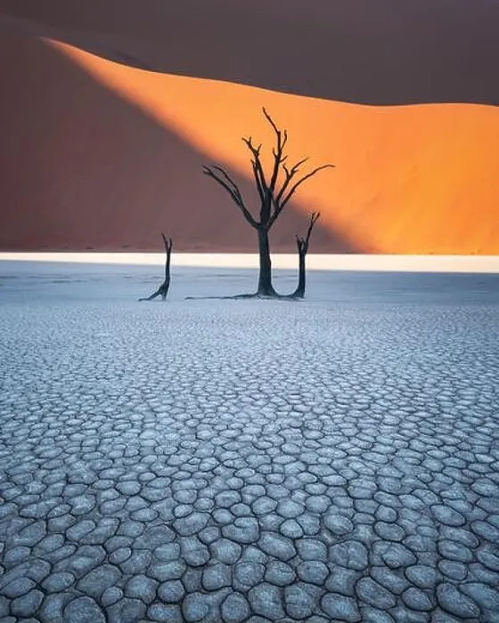 Framed Print : Dead Camelthorn Trees at sunrise, Deadvlei, Namib-Naukluft National Park, Namibia, Africa. Dried trees in Namib desert. Landscape photography Framed Print : Dead Camelthorn Trees at sunrise, Deadvlei, Namib-Naukluft National Park, Namibia, Africa. Dried trees in Namib desert. Landscape photography