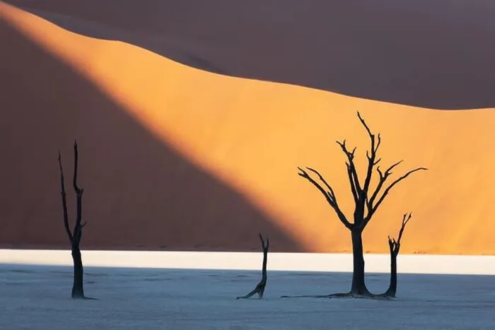 Framed Print : Dead Camelthorn Trees at sunrise, Deadvlei, Namib-Naukluft National Park, Namibia, Africa. Dried trees in Namib desert. Landscape photography Framed Print : Dead Camelthorn Trees at sunrise, Deadvlei, Namib-Naukluft National Park, Namibia, Africa. Dried trees in Namib desert. Landscape photography