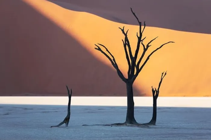 Framed Print : Dead Camelthorn Trees at sunrise, Deadvlei, Namib-Naukluft National Park, Namibia, Africa. Dried trees in Namib desert. Landscape photography Framed Print : Dead Camelthorn Trees at sunrise, Deadvlei, Namib-Naukluft National Park, Namibia, Africa. Dried trees in Namib desert. Landscape photography