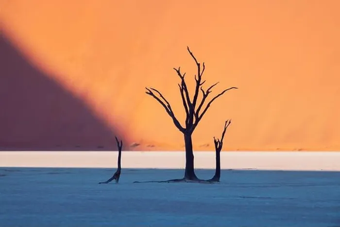Framed Print : Dead Camelthorn Trees at sunrise, Deadvlei, Namib-Naukluft National Park, Namibia, Africa. Dried trees in Namib desert. Landscape photography Framed Print : Dead Camelthorn Trees at sunrise, Deadvlei, Namib-Naukluft National Park, Namibia, Africa. Dried trees in Namib desert. Landscape photography