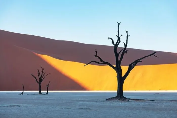 Framed Print : Dead Camelthorn Trees at sunrise, Deadvlei, Namib-Naukluft National Park, Namibia, Africa. Dried trees in Namib desert. Landscape photography Framed Print : Dead Camelthorn Trees at sunrise, Deadvlei, Namib-Naukluft National Park, Namibia, Africa. Dried trees in Namib desert. Landscape photography