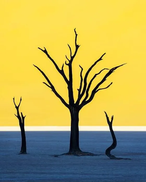 Framed Print : Dead Camelthorn Trees at sunrise, Deadvlei, Namib-Naukluft National Park, Namibia, Africa. Dried trees in Namib desert. Landscape photography Framed Print : Dead Camelthorn Trees at sunrise, Deadvlei, Namib-Naukluft National Park, Namibia, Africa. Dried trees in Namib desert. Landscape photography