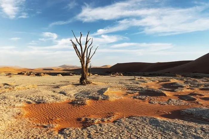 Framed Print : Dead Camelthorn Trees at sunrise, Deadvlei, Namib-Naukluft National Park, Namibia, Africa. Dried trees in Namib desert. Landscape photography Framed Print : Dead Camelthorn Trees at sunrise, Deadvlei, Namib-Naukluft National Park, Namibia, Africa. Dried trees in Namib desert. Landscape photography