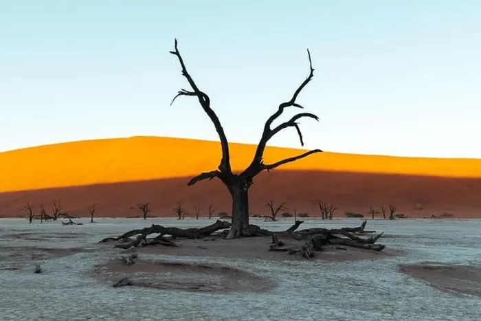 Framed Print : Dead Camelthorn Trees at sunrise, Deadvlei, Namib-Naukluft National Park, Namibia, Africa. Dried trees in Namib desert. Landscape photography Framed Print : Dead Camelthorn Trees at sunrise, Deadvlei, Namib-Naukluft National Park, Namibia, Africa. Dried trees in Namib desert. Landscape photography