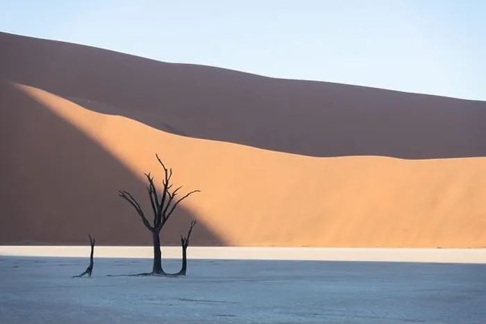 Framed Print : Dead Camelthorn Trees at sunrise, Deadvlei, Namib-Naukluft National Park, Namibia, Africa. Dried trees in Namib desert. Landscape photography Framed Print : Dead Camelthorn Trees at sunrise, Deadvlei, Namib-Naukluft National Park, Namibia, Africa. Dried trees in Namib desert. Landscape photography