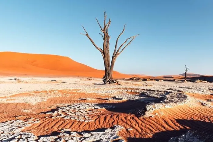 Framed Print : Dead Camelthorn Trees at sunrise, Deadvlei, Namib-Naukluft National Park, Namibia, Africa. Dried trees in Namib desert. Landscape photography Framed Print : Dead Camelthorn Trees at sunrise, Deadvlei, Namib-Naukluft National Park, Namibia, Africa. Dried trees in Namib desert. Landscape photography