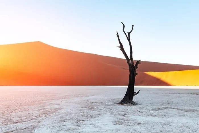 Framed Print : Dead Camelthorn Trees at sunrise, Deadvlei, Namib-Naukluft National Park, Namibia, Africa. Dried trees in Namib desert. Landscape photography Framed Print : Dead Camelthorn Trees at sunrise, Deadvlei, Namib-Naukluft National Park, Namibia, Africa. Dried trees in Namib desert. Landscape photography
