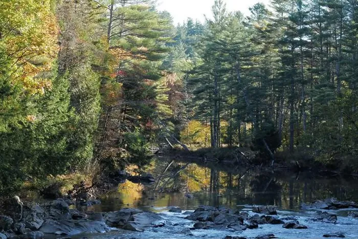 Framed Print : A deer drinking water from a brook in the Adirondacks near Keene Valley Framed Print : A deer drinking water from a brook in the Adirondacks near Keene Valley
