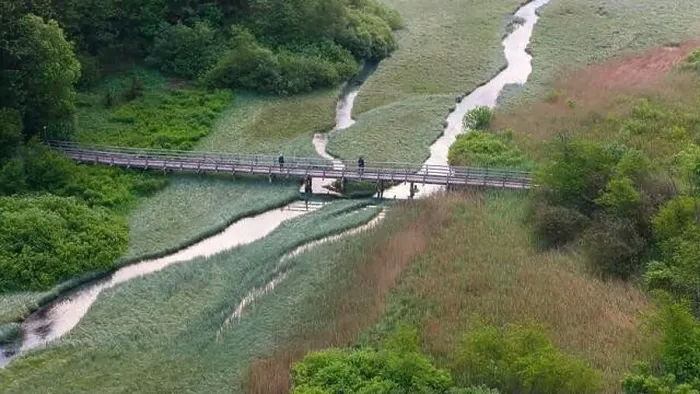 Framed Print : Default Framed Print : Default