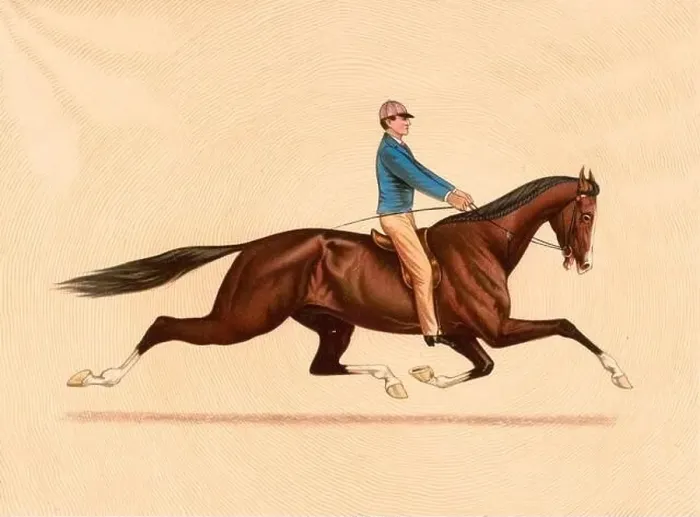 Framed Print : Dexter, The Trotting King ridden by John Murphy 1889 Framed Print : Dexter, The Trotting King ridden by John Murphy 1889