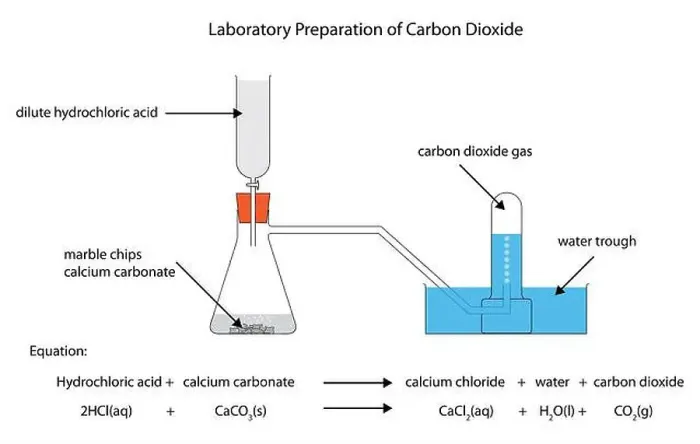 Framed Print : Diagram of the laboratory preparation of carbon dioxide from hydrochloric acid and calcium carbonate marble chips