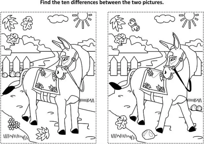 Framed Print : Find the ten differences picture puzzle and coloring page with donkey or burro walking at rural scene Framed Print : Find the ten differences picture puzzle and coloring page with donkey or burro walking at rural scene
