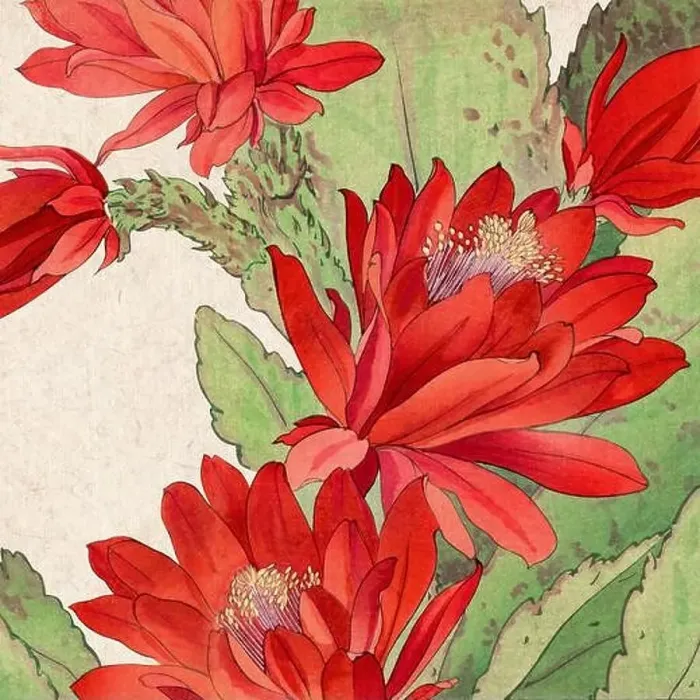 Framed Print : Digital floral design featuring a lively color palette on textured beige Framed Print : Digital floral design featuring a lively color palette on textured beige