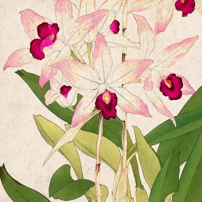 Framed Print : Digital floral design featuring a lively color palette on textured beige Framed Print : Digital floral design featuring a lively color palette on textured beige