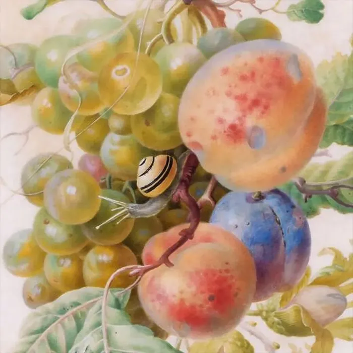 Framed Print : Digital floral design on a textured background. Flowers and fruits with a vintage inspiration Framed Print : Digital floral design on a textured background. Flowers and fruits with a vintage inspiration