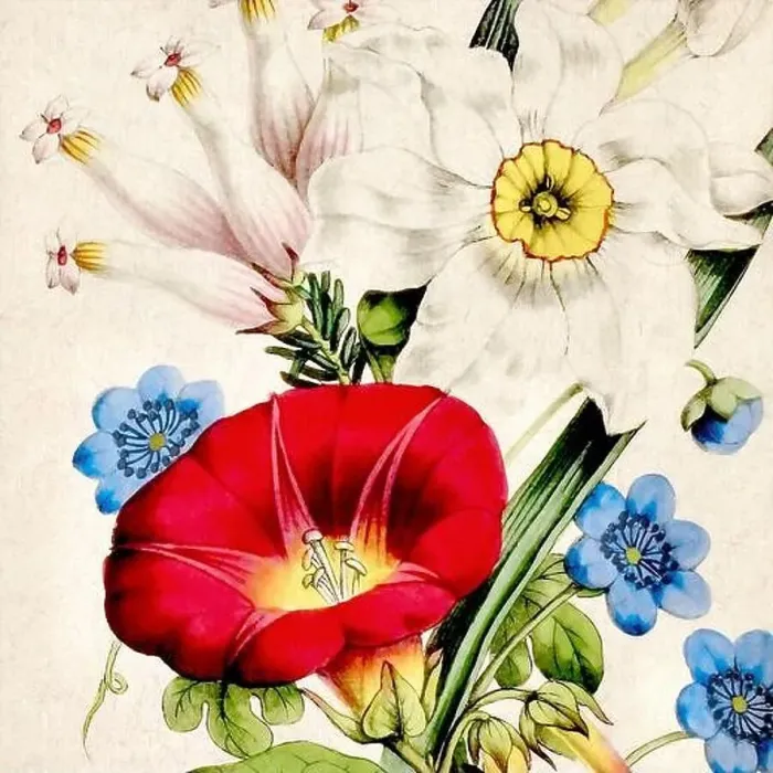 Framed Print : Digital floral watercolor vibes on textured beige Framed Print : Digital floral watercolor vibes on textured beige