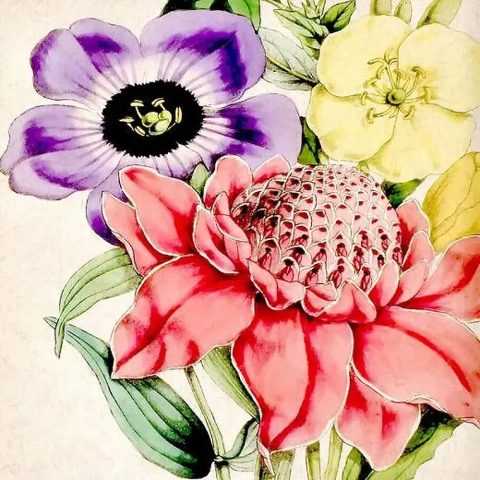 Framed Print : Digital floral watercolor vibes on textured beige Framed Print : Digital floral watercolor vibes on textured beige
