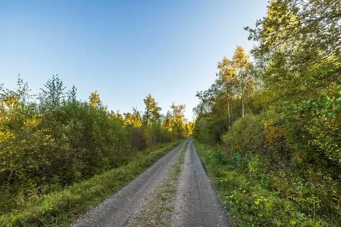 Framed Print : Dirt road through forest with autumn foliage on both sides under clear blue sky with trees yellow and green. Sweden Framed Print : Dirt road through forest with autumn foliage on both sides under clear blue sky with trees yellow and green. Sweden
