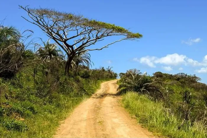 Framed Print : Dirt road on Isimangaliso wetland park on South Africa Framed Print : Dirt road on Isimangaliso wetland park on South Africa