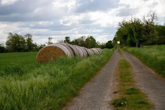 Framed Print : Dirt road with rounds of hay bales at the edge and trees, cloudy. High quality photo Framed Print : Dirt road with rounds of hay bales at the edge and trees, cloudy. High quality photo