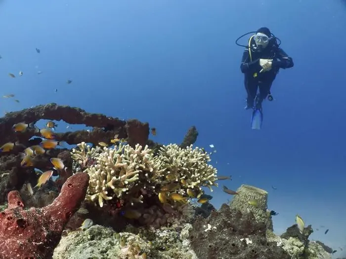 Framed Print : A diver swims past a shipwreck teeming with fish and coral Framed Print : A diver swims past a shipwreck teeming with fish and coral