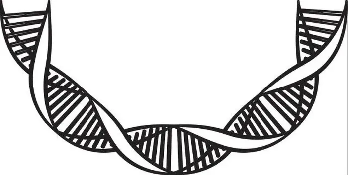 Framed Print : dna chain with curve science icon