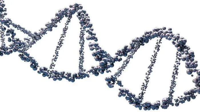Framed Print : Dna structure under a microscope. genetic information molecules. 3d render Framed Print : Dna structure under a microscope. genetic information molecules. 3d render