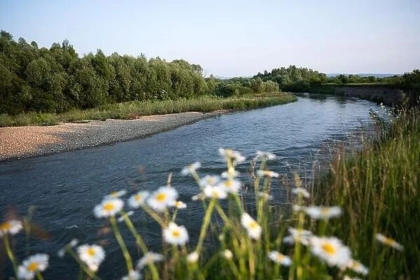 Dnisrter (Dnestr) river in western Ukraine in summer time. Ukrainian landscapes