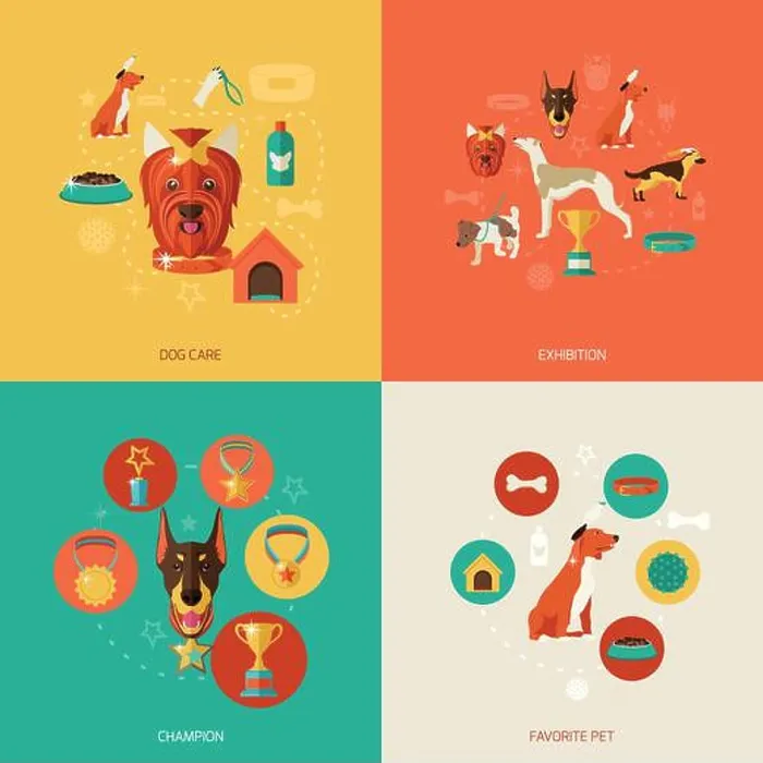 Framed Print : Dog icons flat set with dog care exhibition champion favorite pet isolated vector illustration