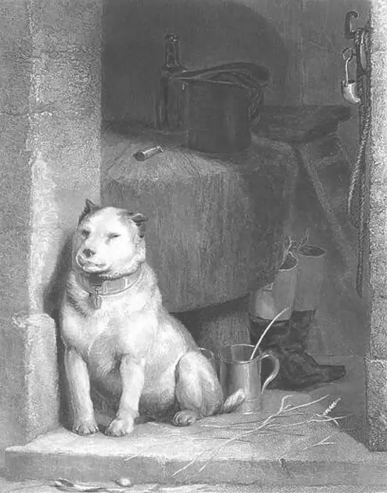 Framed Print : DOGS: Low life-Landseer, antique print c1880 Framed Print : DOGS: Low life-Landseer, antique print c1880