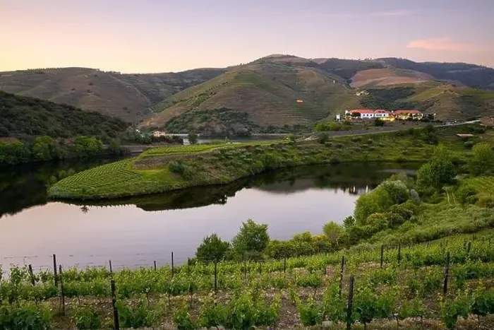 Framed Print : Douro wine valley regions shape bend river in Quinta do Tedo at sunset, in Portugal Framed Print : Douro wine valley regions shape bend river in Quinta do Tedo at sunset, in Portugal