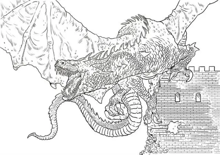 Framed Print : Dragon coloring page. Outline illustration. Dragon drawing coloring sheet Framed Print : Dragon coloring page. Outline illustration. Dragon drawing coloring sheet