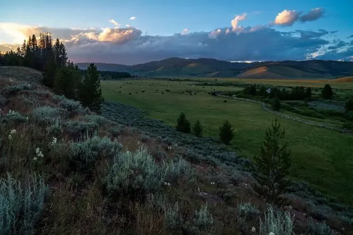 Framed Print : Dramatic evening clouds over the Stanley Creek Wildlife Interpretive Area / Valley Creek Restoration Project Framed Print : Dramatic evening clouds over the Stanley Creek Wildlife Interpretive Area / Valley Creek Restoration Project