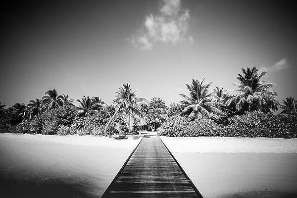 Dramatic landscape of paradise tropical island beach with perfect sunny sky, artistic black and white process