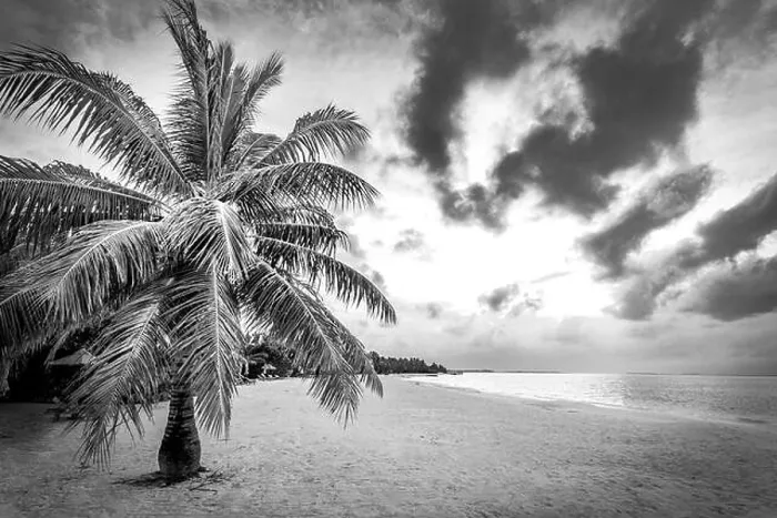 Framed Print : Dramatic landscape of paradise tropical island beach with perfect sunny sky, artistic black and white process Framed Print : Dramatic landscape of paradise tropical island beach with perfect sunny sky, artistic black and white process